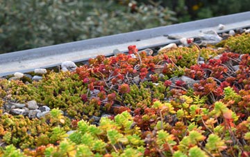 the cost of Bolter End green roof installation