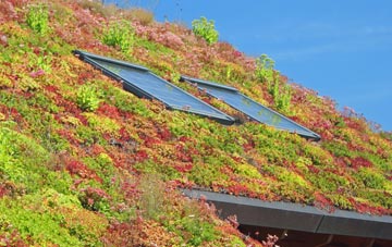 Bolter End living roof systems